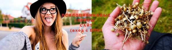 a pvp Алзамай