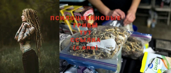 a pvp Алзамай