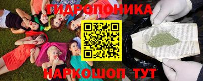 гидра Пенза