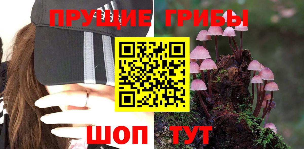 Галлюциногенные грибы Cubensis Урай