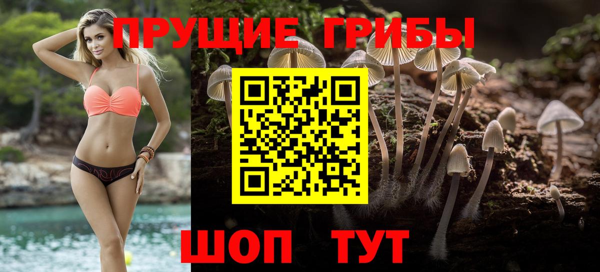 Урай  Галлюциногенные грибы Psilocybine cubensis  Псилоцибиновые грибы мицелий  Вход с VPN 